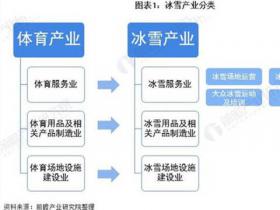 预见2021：《2021年中国冰雪产业全景图谱》