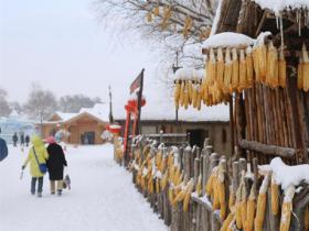 内蒙古、吉林携手共建冰雪朋友圈