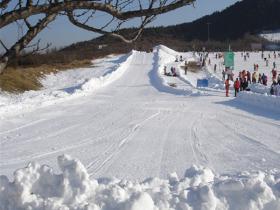 北京市顺义区旅游行业协会到莲花山滑雪场走访调研