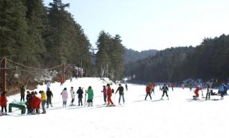 河北：与冬奥筹办协同推进，让冰雪产业成为新产业增长点