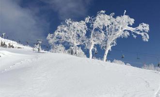 冰雪旅游持续升温　网订同比增长超四成 