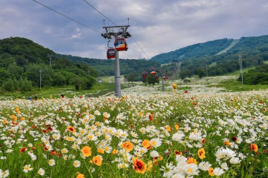 冰雪吉林展开夏季行动：景区推新项目重聚人气3