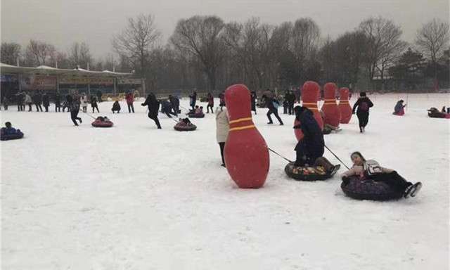 2020石家庄市欢乐冰雪季启幕