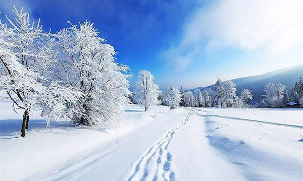 哈尔滨迈向世界冰雪文化旅游名城