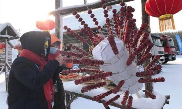 第十九届中国长春净月潭瓦萨国际滑雪节，净月潭盛大启幕！ 4