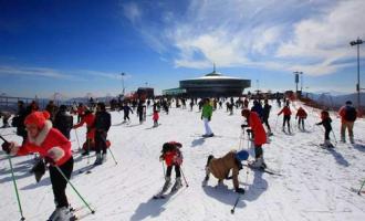 室外滑雪场中有哪些安全隐患？需要怎么预防?