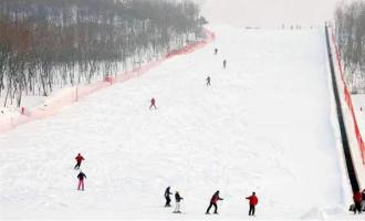 崇礼多乐美地滑雪场有多少条滑雪道？